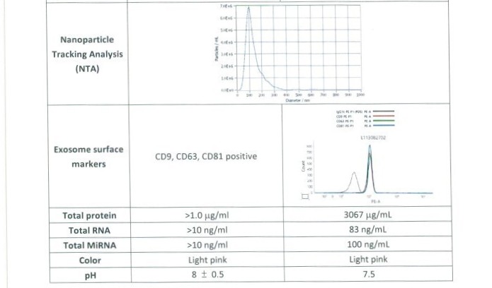 COA 檢驗報告